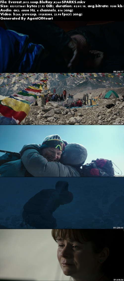 Everest 2015 1080p BluRay x264-SPARKS Everest 2015 1080p BluRay x264-SPARKS