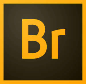 Adobe Bridge CC 2017 (v7.0) Multilingual Update 1 + Patch